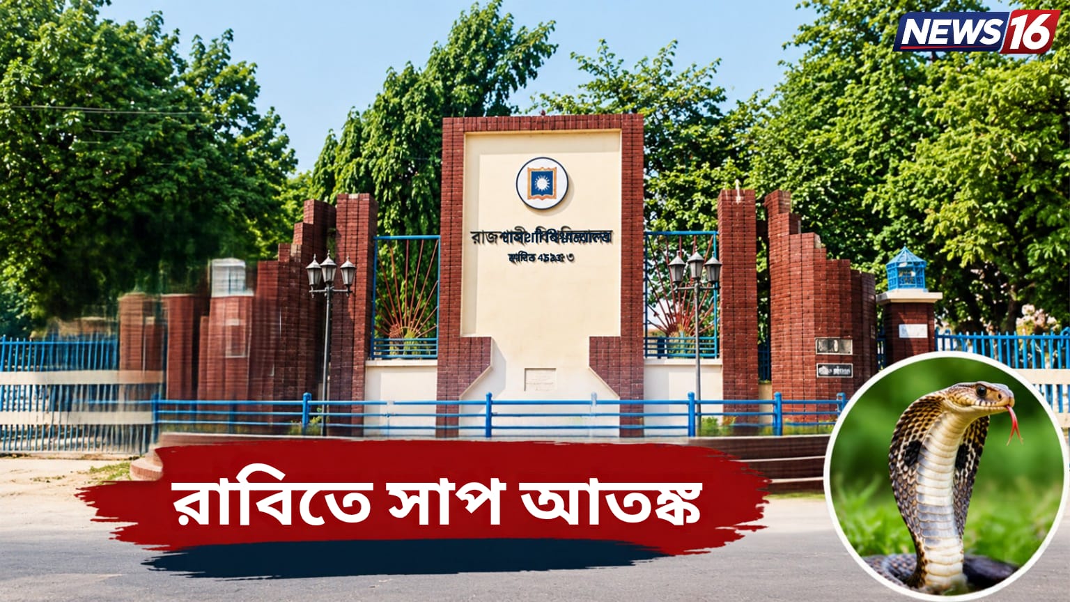 রাবিতে সাপ আতঙ্ক, উদ্ধার হলে বন বিভাগে হস্তান্তরের পরামর্শ